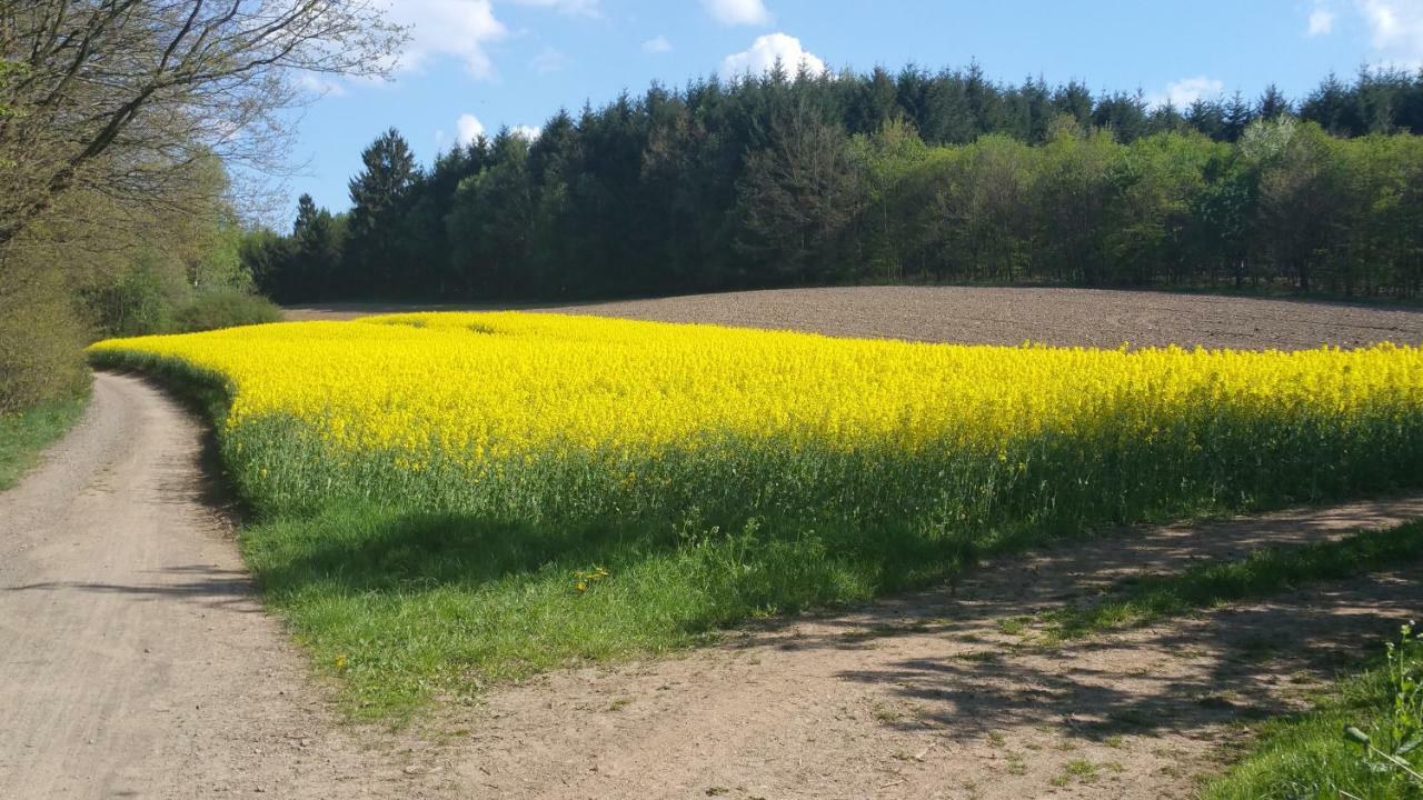 Ferienwohnung Auszeit Tholey Bagian luar foto