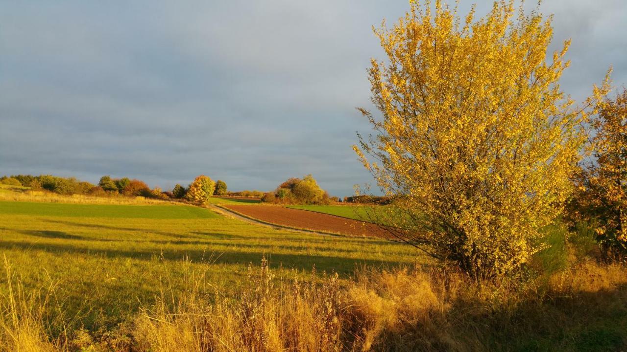 Ferienwohnung Auszeit Tholey Bagian luar foto